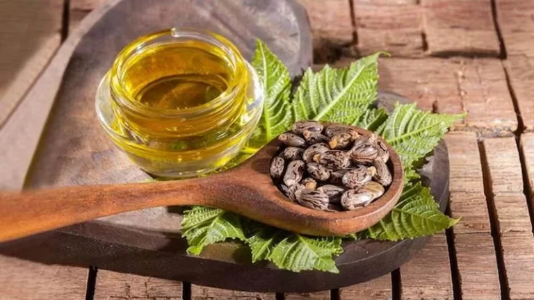 În cât timp își face efectul uleiul de ricin pentru constipație